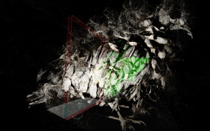 Ryoichi Kurokawa
