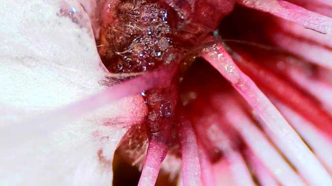 Read: Queer Ecology: Who Says Nature is Binary?